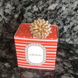 Stella & Dot statement ring!